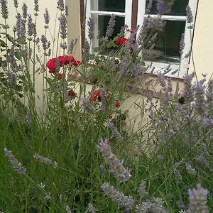 Apartment Im Einhornhaus
